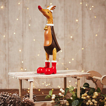 Cute Christmas Ducks - assorted styles available