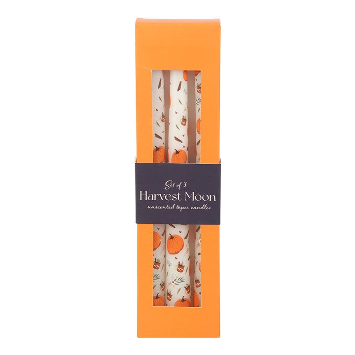 Pumpkin Taper Candles - set of 3