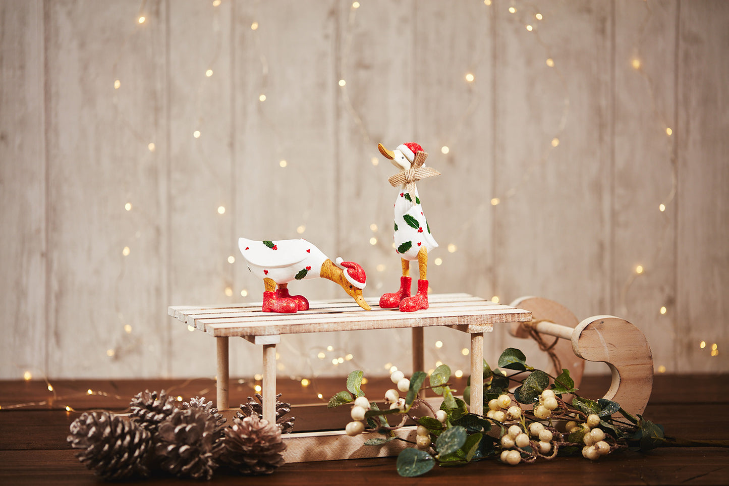 Cute Christmas Ducks - assorted styles available