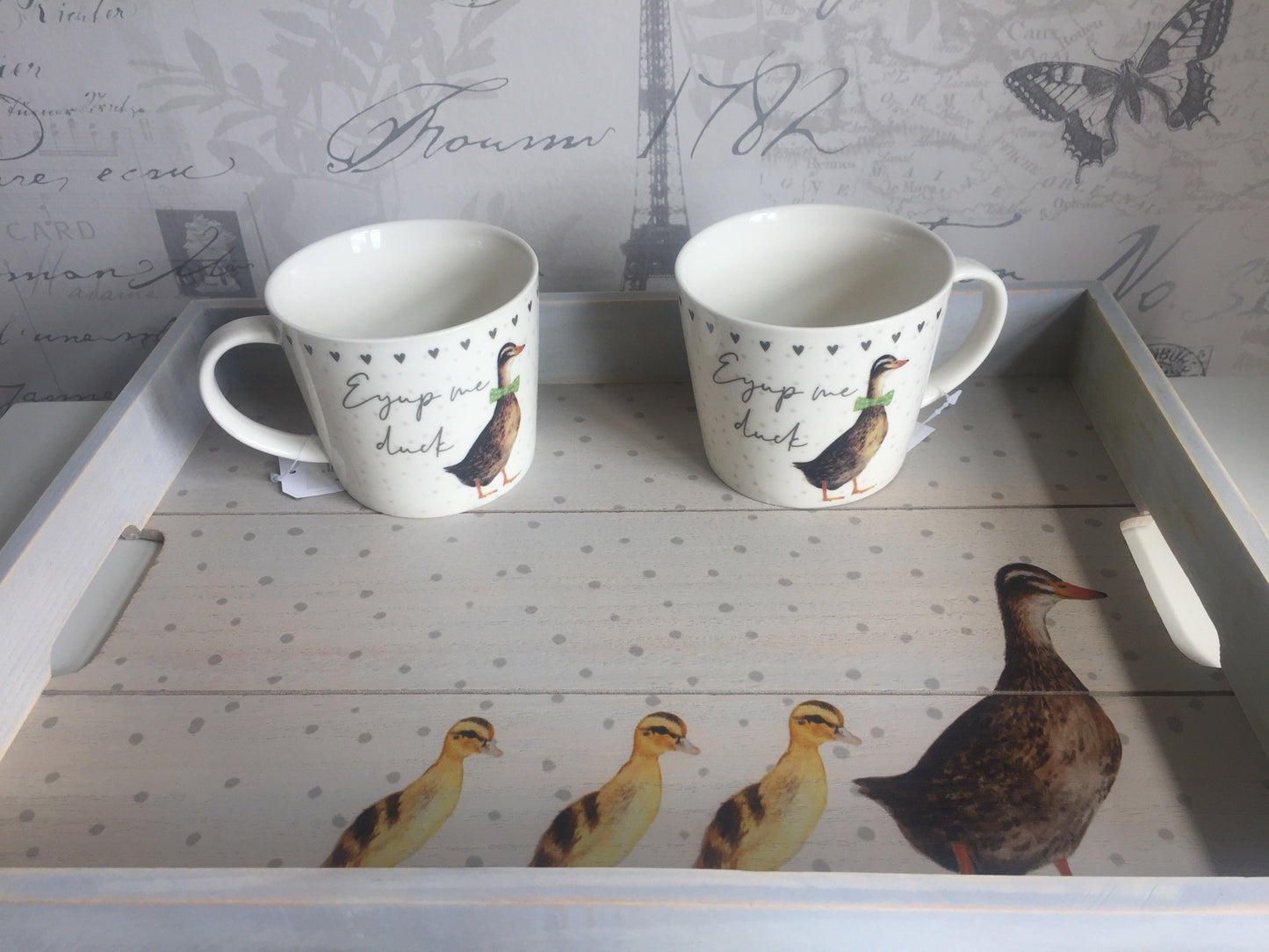 Large Duck Jug