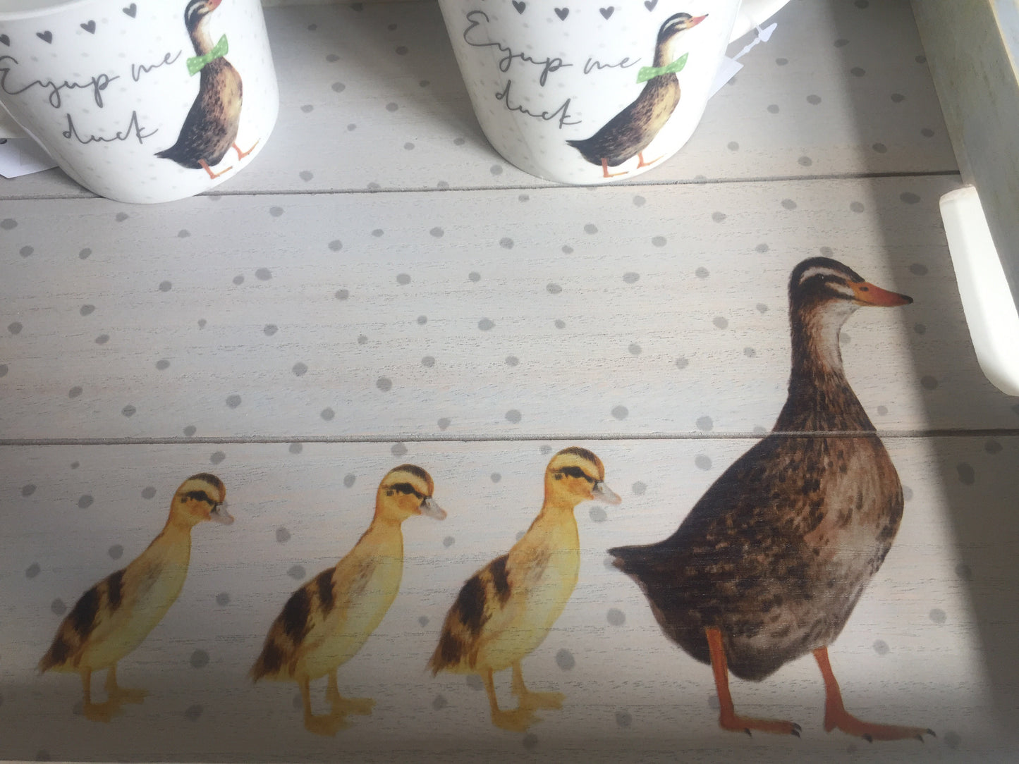 Large Duck Jug