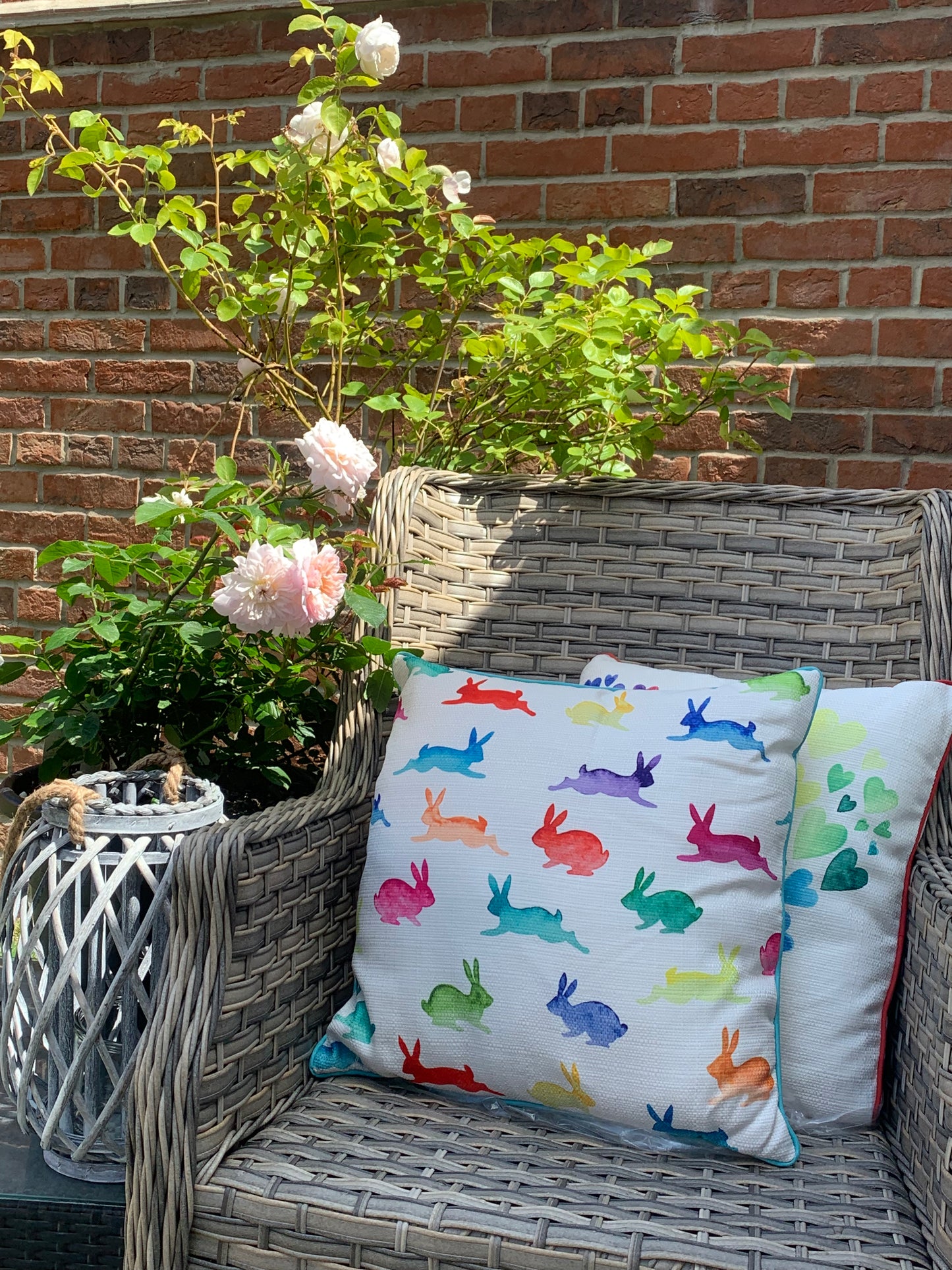 Rainbow Brights Cushion - 2 Gorgeous Styles