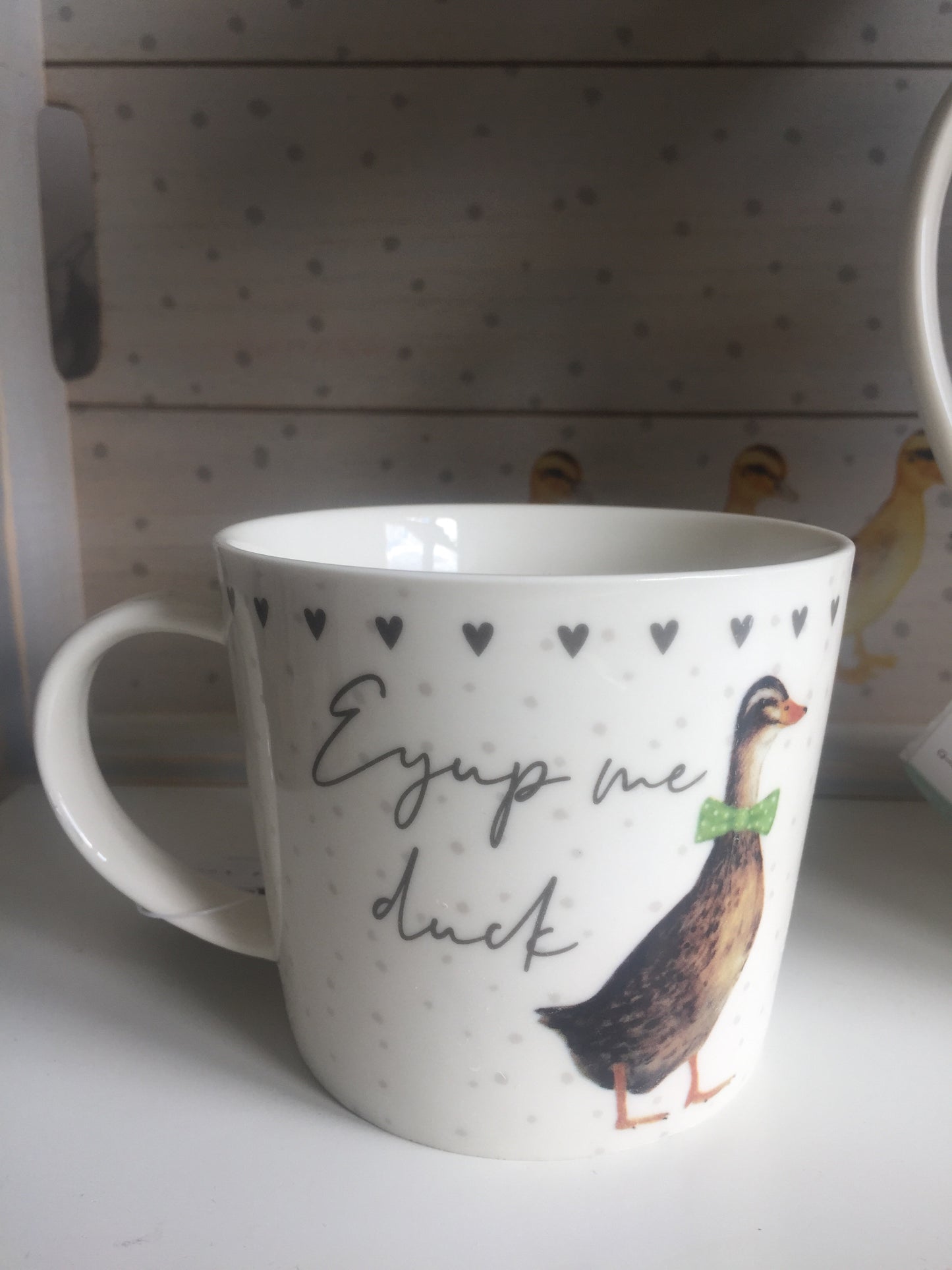 Large Duck Jug