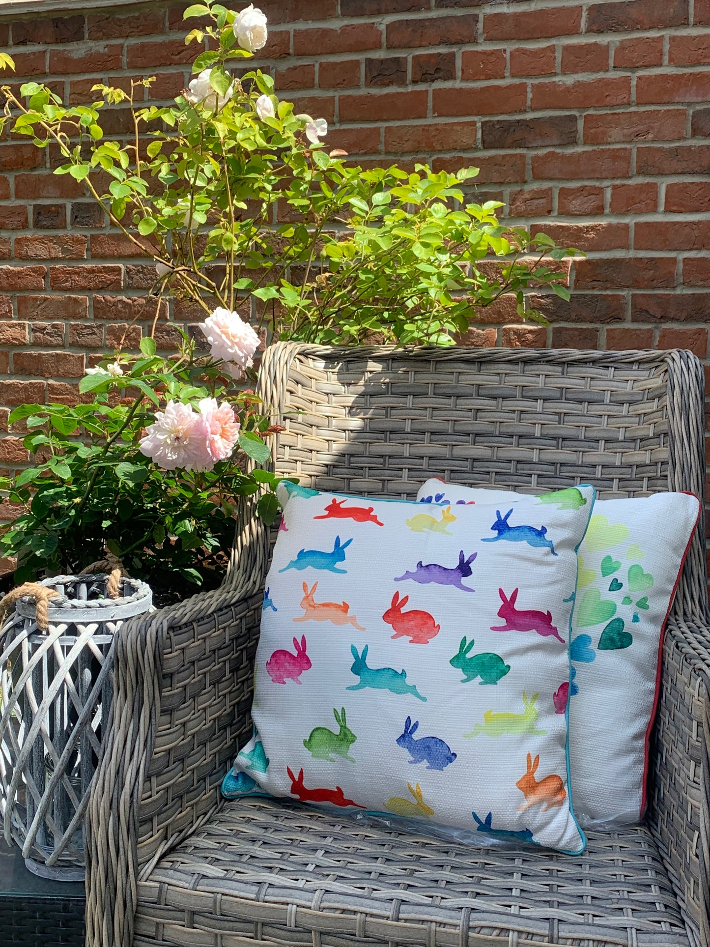 Rainbow Brights Cushion - 2 Gorgeous Styles