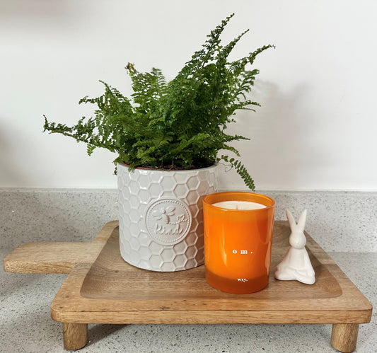 Calm Corner Styling Bundle