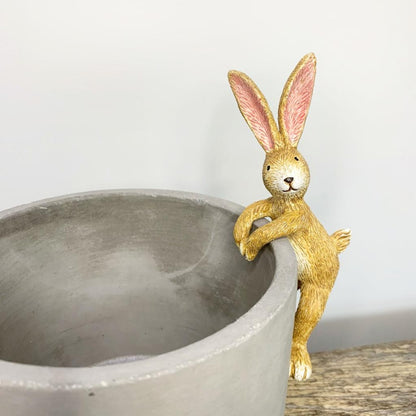 Jasper Rabbit Pot Hanger