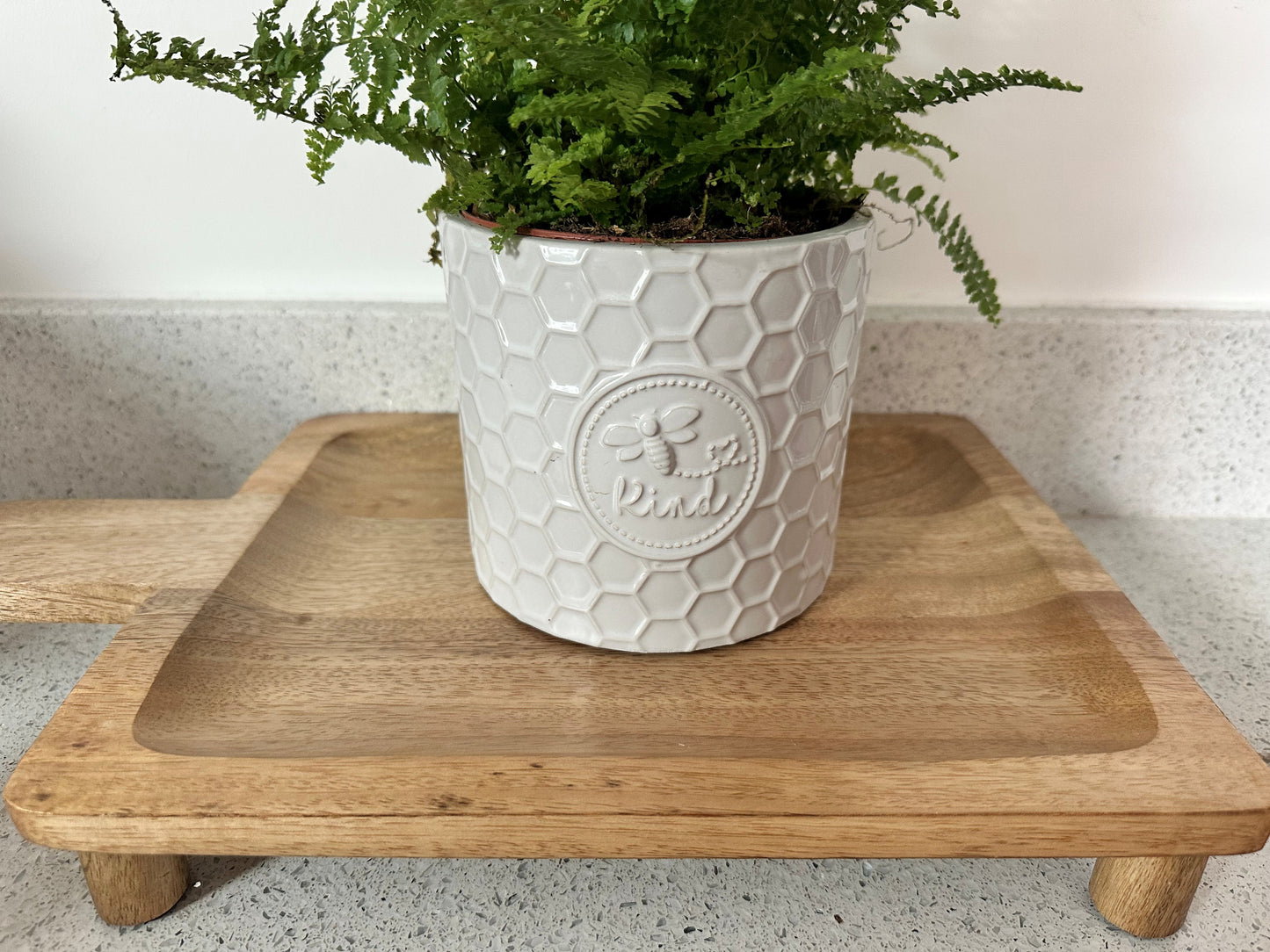 Calm Corner Styling Bundle