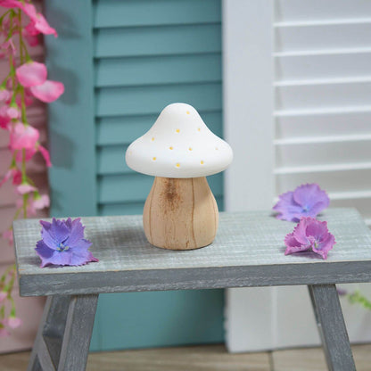 Mushroom Light Up Toadstools